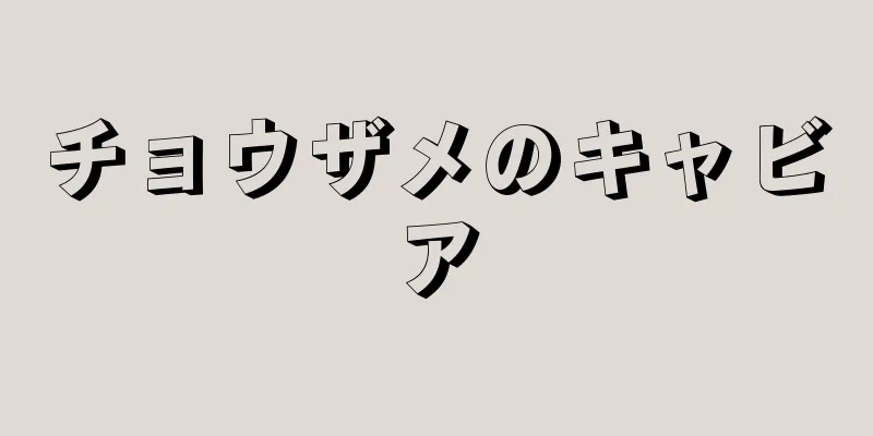 チョウザメのキャビア