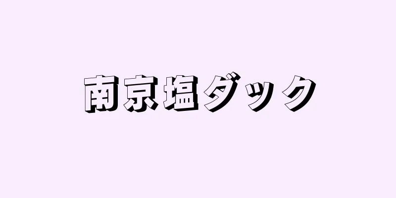 南京塩ダック