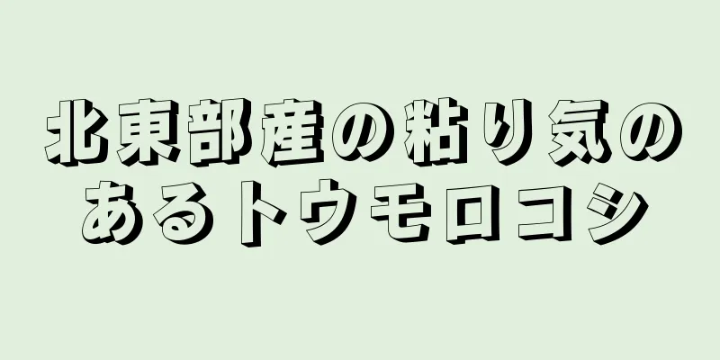 北東部産の粘り気のあるトウモロコシ