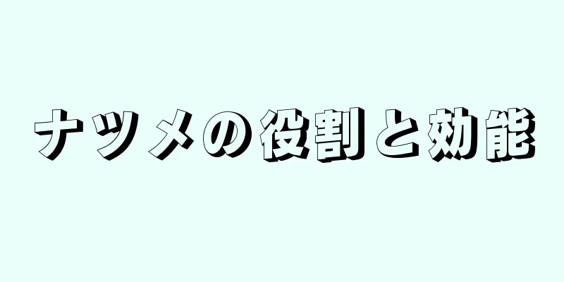 ナツメの役割と効能