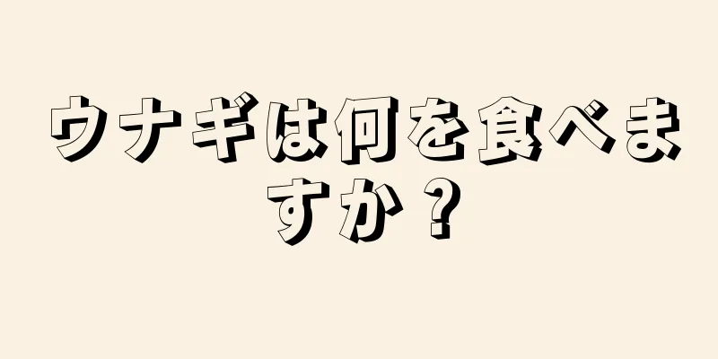 ウナギは何を食べますか？