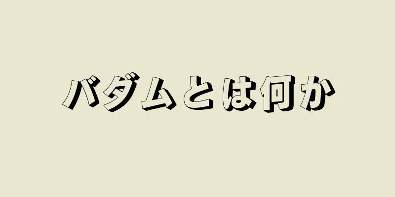 バダムとは何か