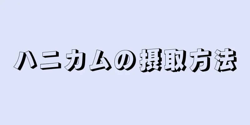 ハニカムの摂取方法