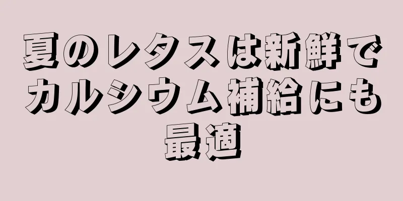 夏のレタスは新鮮でカルシウム補給にも最適