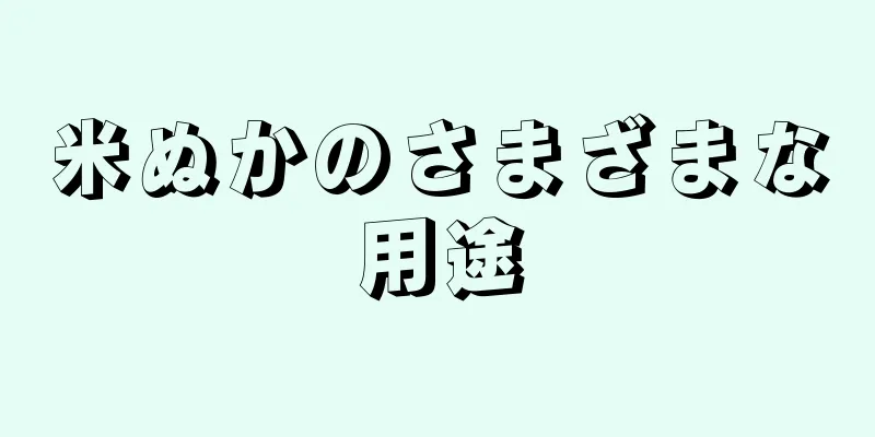 米ぬかのさまざまな用途