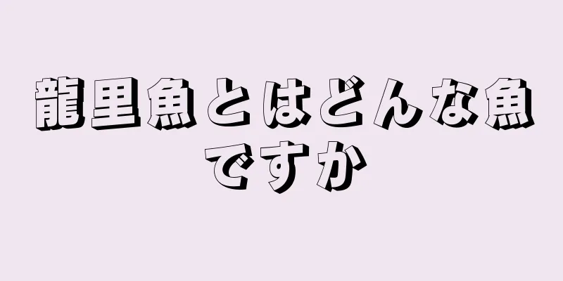 龍里魚とはどんな魚ですか