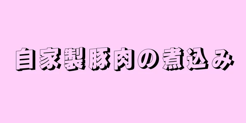 自家製豚肉の煮込み