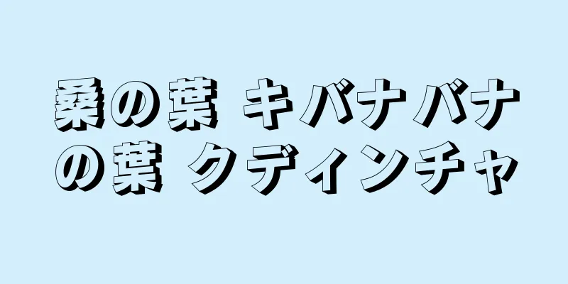 桑の葉 キバナバナの葉 クディンチャ