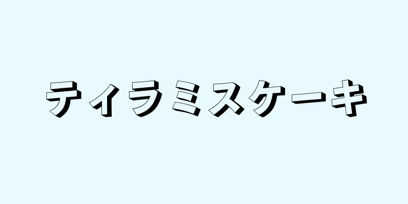 ティラミスケーキ