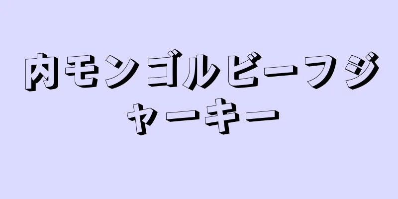 内モンゴルビーフジャーキー