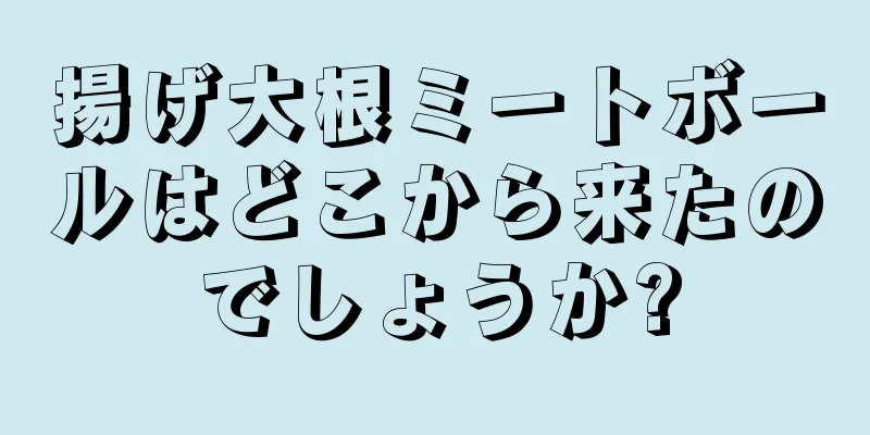 揚げ大根ミートボールはどこから来たのでしょうか?