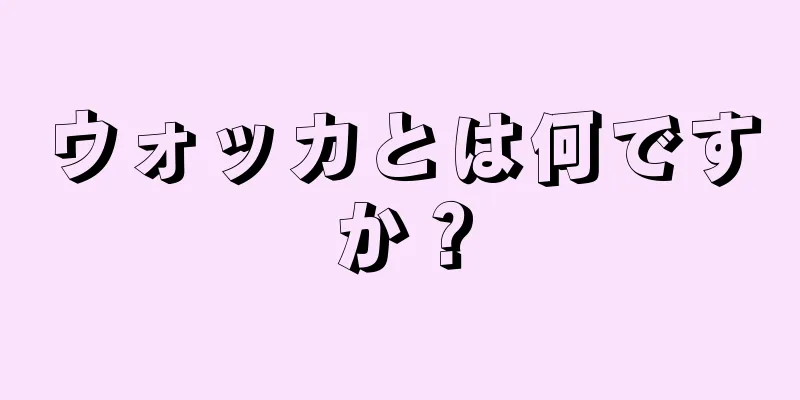 ウォッカとは何ですか？