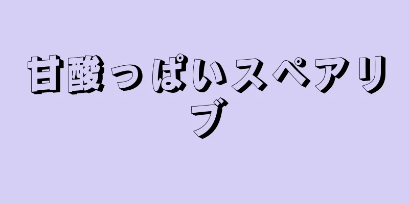 甘酸っぱいスペアリブ