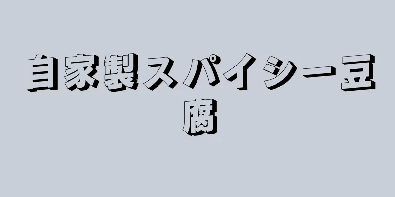 自家製スパイシー豆腐