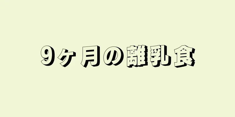 9ヶ月の離乳食