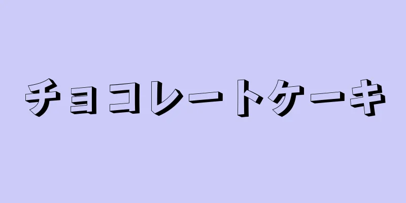 チョコレートケーキ