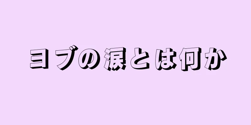 ヨブの涙とは何か