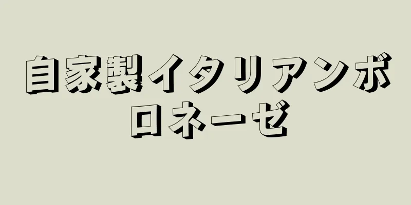 自家製イタリアンボロネーゼ