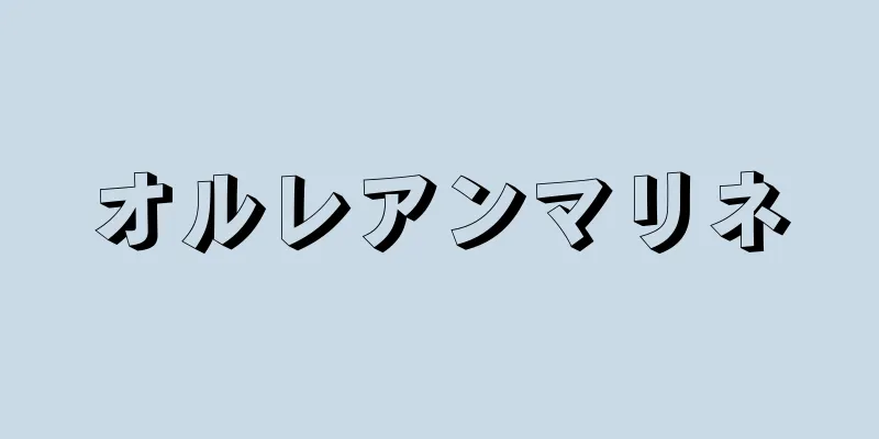 オルレアンマリネ