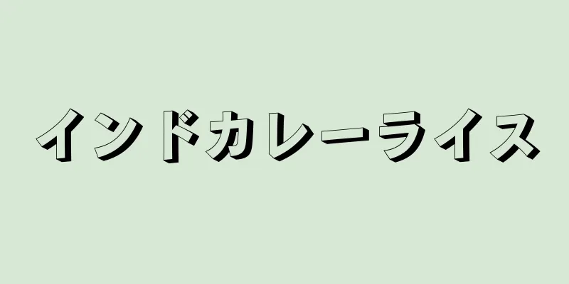 インドカレーライス