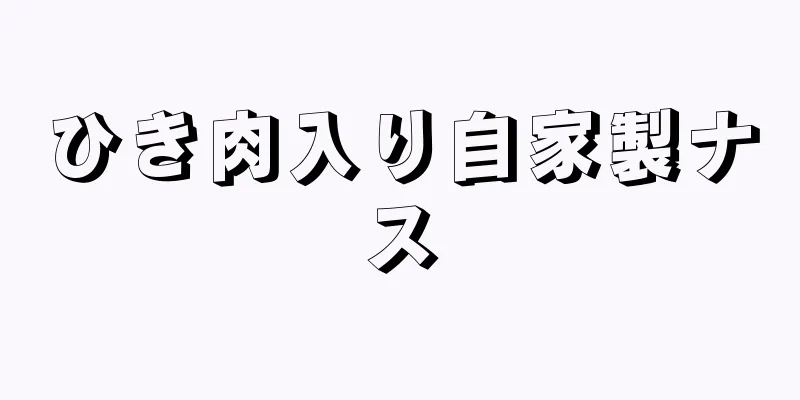 ひき肉入り自家製ナス