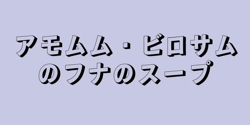 アモムム・ビロサムのフナのスープ