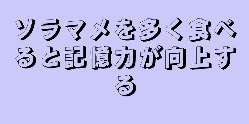 ソラマメを多く食べると記憶力が向上する