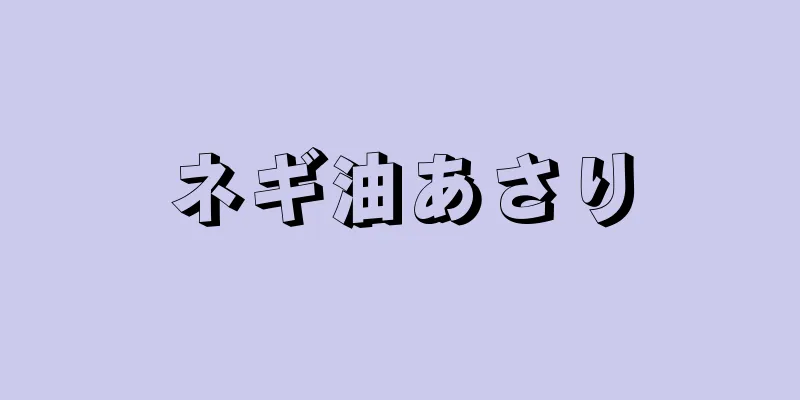 ネギ油あさり