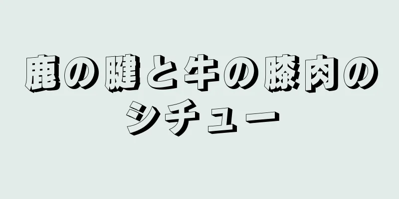 鹿の腱と牛の膝肉のシチュー