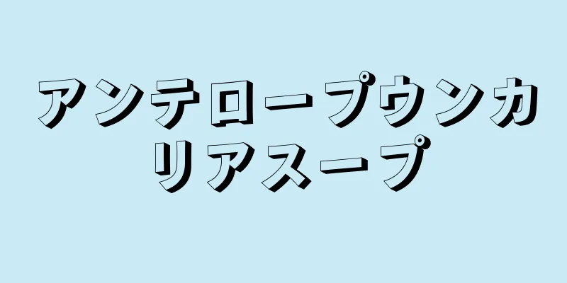 アンテロープウンカリアスープ