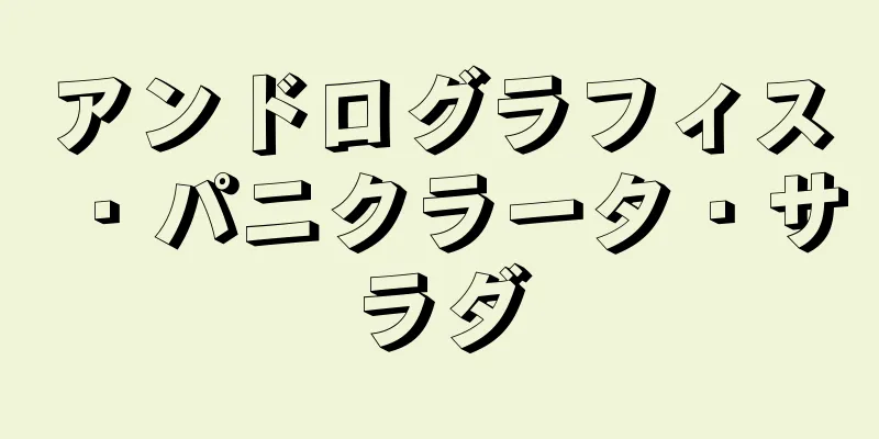 アンドログラフィス・パニクラータ・サラダ