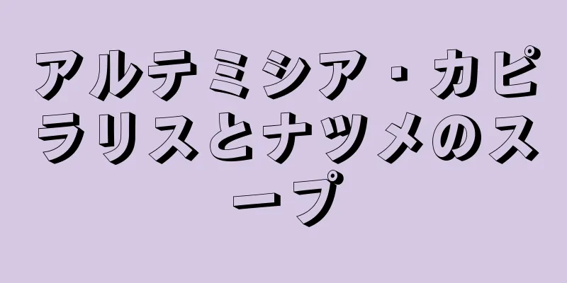 アルテミシア・カピラリスとナツメのスープ