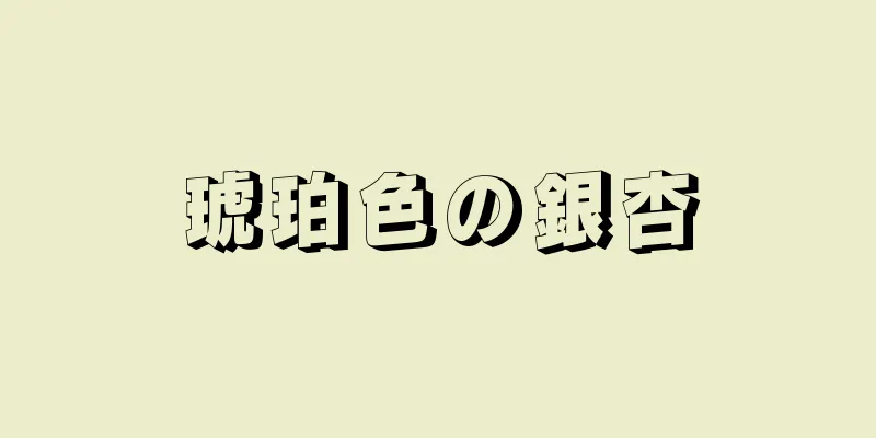 琥珀色の銀杏