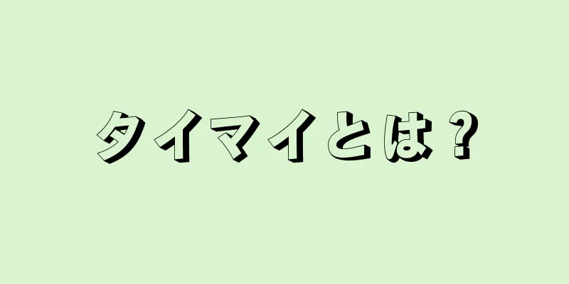 タイマイとは？