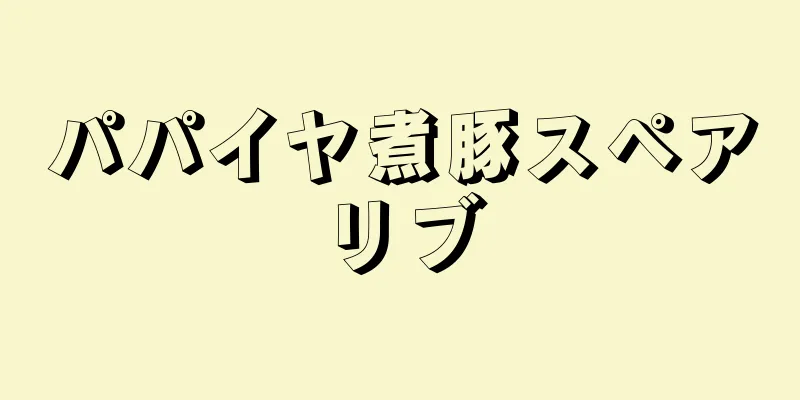 パパイヤ煮豚スペアリブ