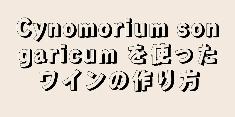 Cynomorium songaricum を使ったワインの作り方