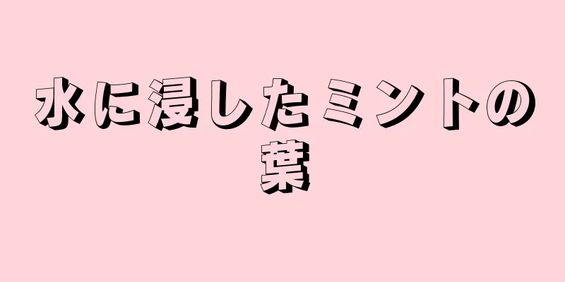 水に浸したミントの葉