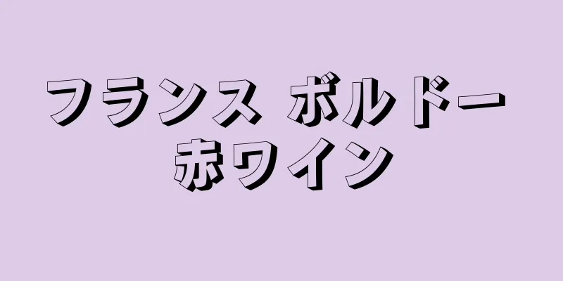 フランス ボルドー 赤ワイン