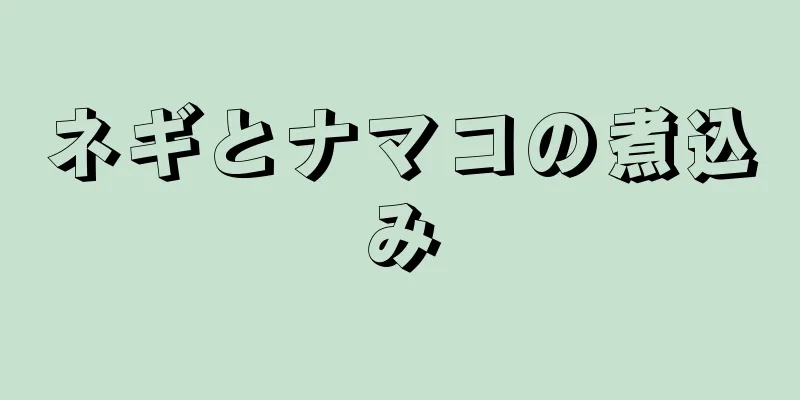 ネギとナマコの煮込み