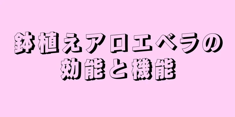 鉢植えアロエベラの効能と機能