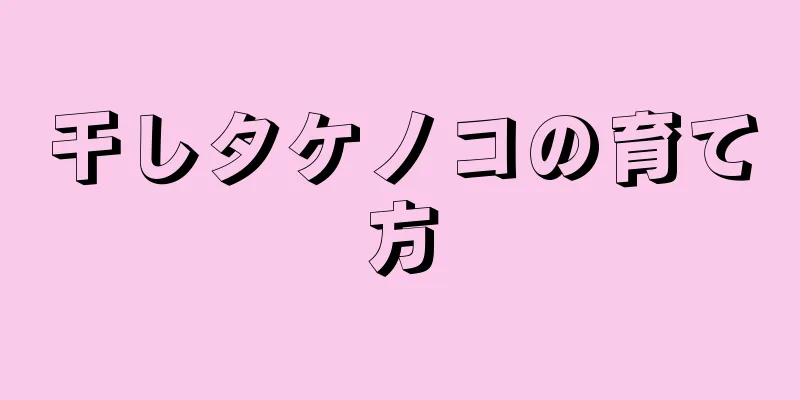 干しタケノコの育て方