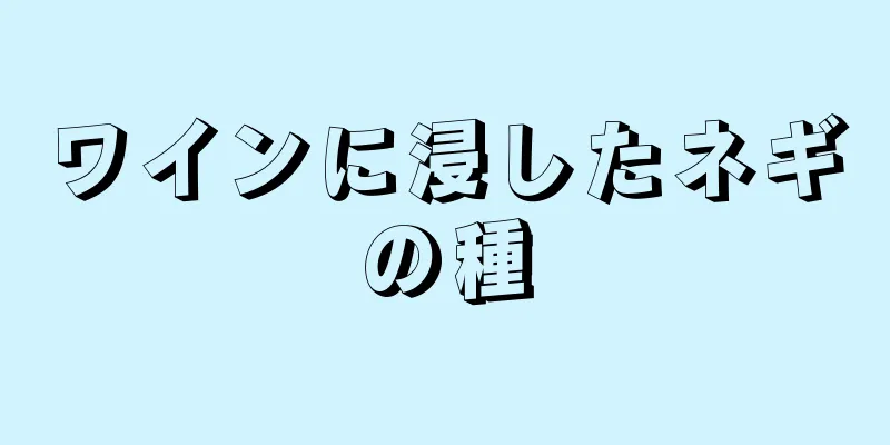 ワインに浸したネギの種