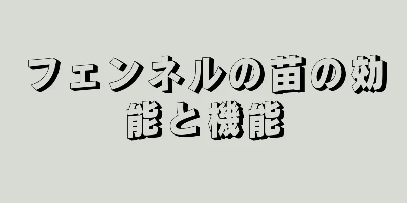 フェンネルの苗の効能と機能