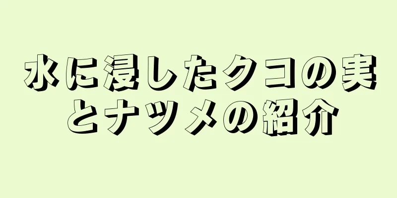 水に浸したクコの実とナツメの紹介