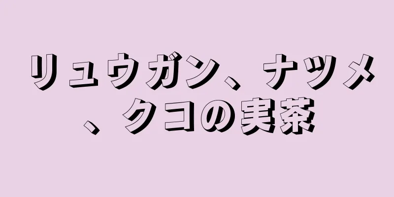 リュウガン、ナツメ、クコの実茶