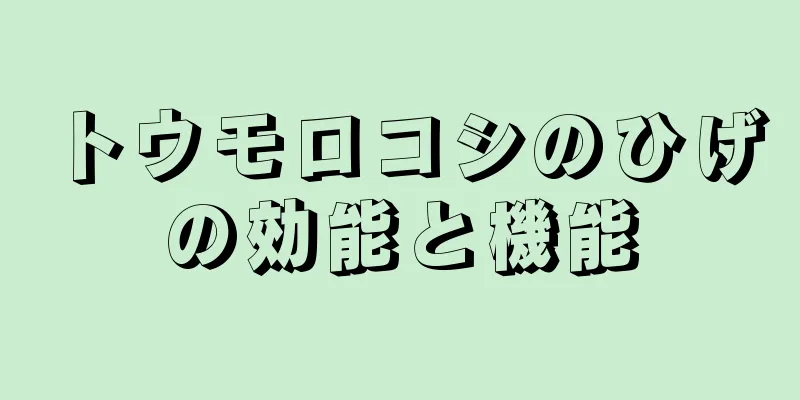 トウモロコシのひげの効能と機能