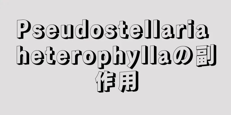 Pseudostellaria heterophyllaの副作用