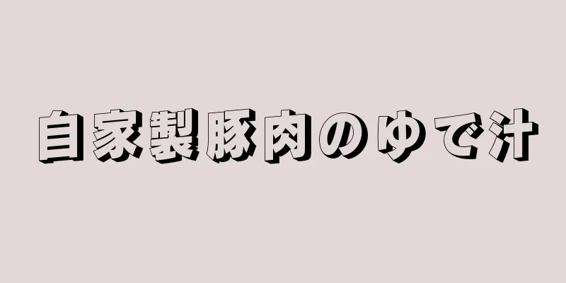 自家製豚肉のゆで汁