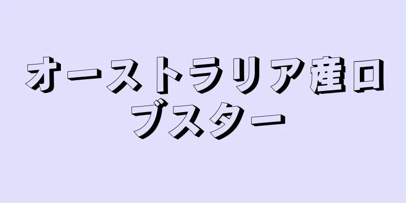 オーストラリア産ロブスター