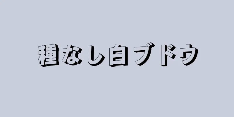 種なし白ブドウ